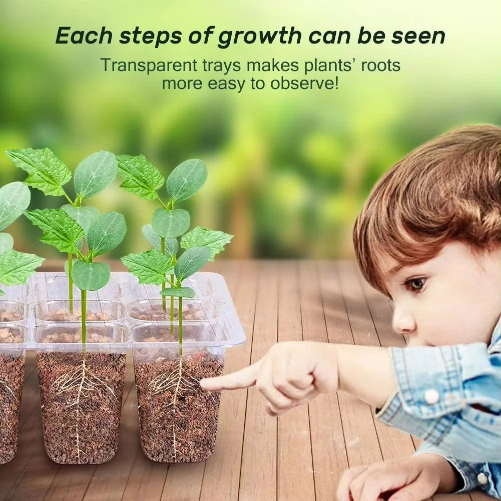 Home Seed Starter Tray with Grow Light 2 Seed Germination Kits Dome Adjustable Humidity Seedling Tray for Gardening